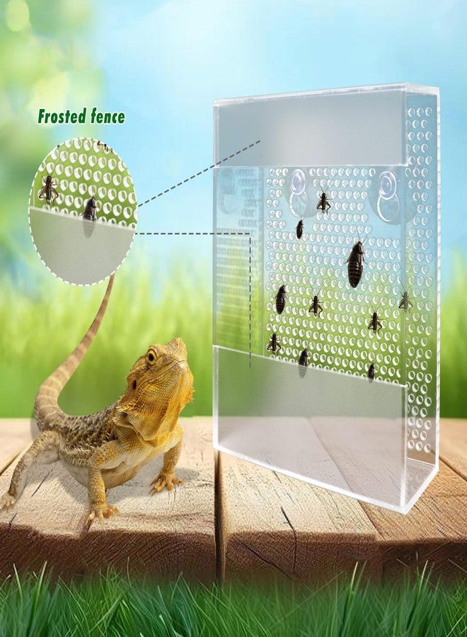 Neeenn Transparent Acrylic Reptile Feeder Box, Wall-Mounted Insect Feeder with Suction Cups, Tank and Aquarium Accessories for Bearded Dragon, Lizard, Gecko, Frog - Image 2