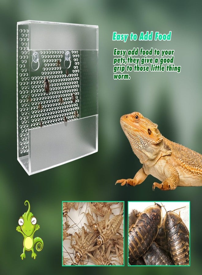 Neeenn Transparent Acrylic Reptile Feeder Box, Wall-Mounted Insect Feeder with Suction Cups, Tank and Aquarium Accessories for Bearded Dragon, Lizard, Gecko, Frog - Image 3