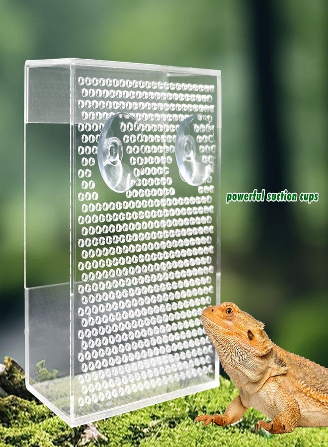 Neeenn Transparent Acrylic Reptile Feeder Box, Wall-Mounted Insect Feeder with Suction Cups, Tank and Aquarium Accessories for Bearded Dragon, Lizard, Gecko, Frog - Image 5