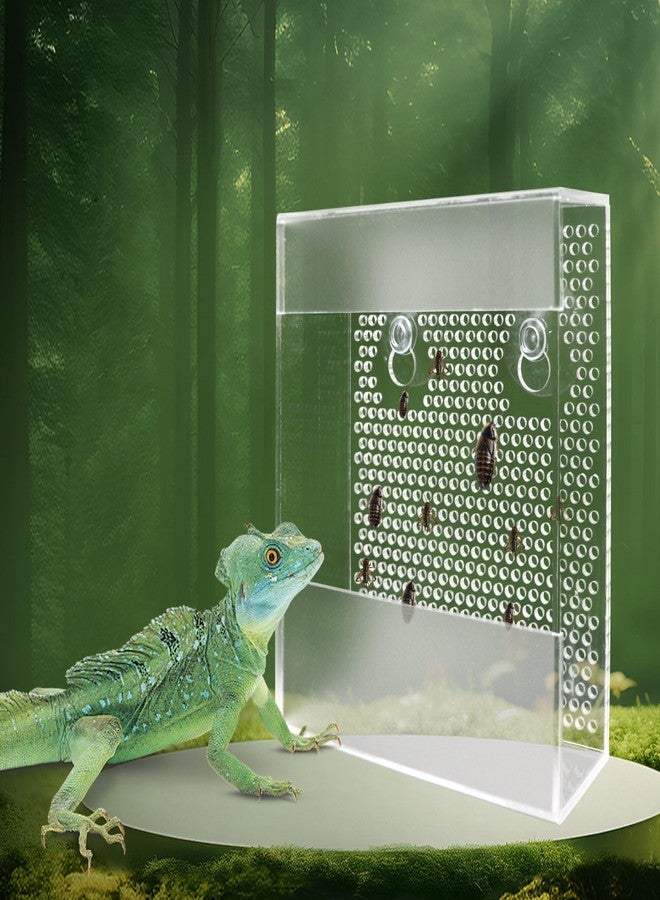 Neeenn Transparent Acrylic Reptile Feeder Box, Wall-Mounted Insect Feeder with Suction Cups, Tank and Aquarium Accessories for Bearded Dragon, Lizard, Gecko, Frog - Image 1
