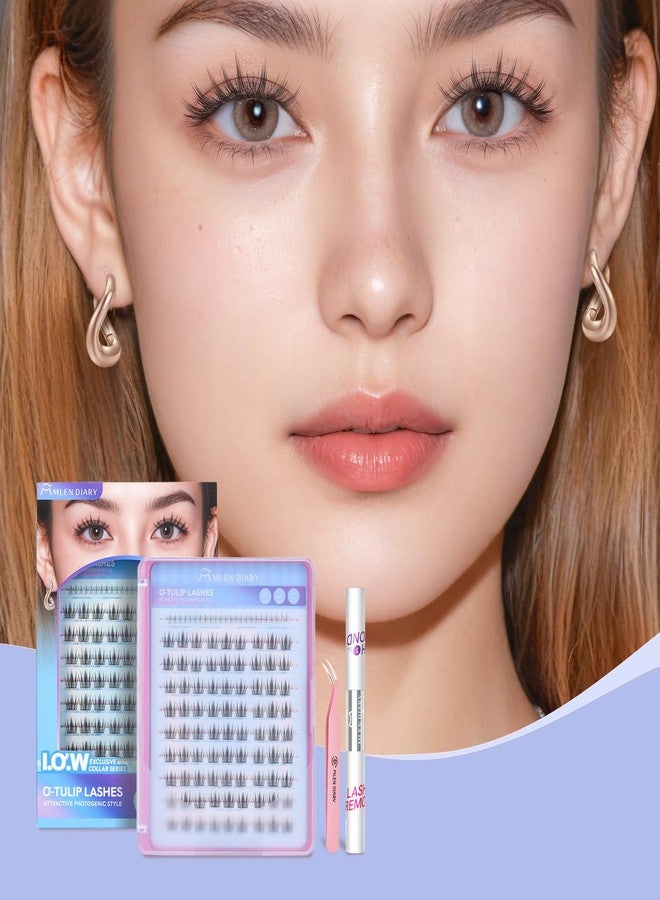 Mlen Diary Lash Clusters Natural with Remover, 114 Pcs Wispy DIY Eyelash Extensions Kit, Handmade Lightweight Compact Design,Gift for Beauty Lovers, C Curl - Image 3