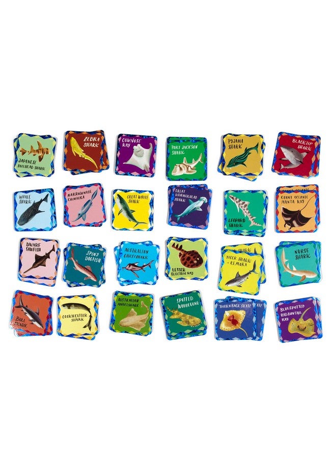 eeBoo: Memory & Matching Game: Shiny Sharks & Friends - 24 Matching Pairs, Educational Preschool Game, Kids Ages 3+, 1-4 Players - Image 3