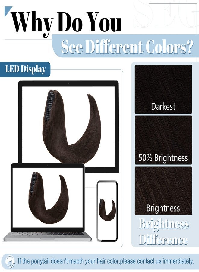 SEGO Claw Clip Ponytail Extension Human Hair Clip in Ponytail Hair Extensions Real Human Hair Pony Tails Hair Extensions Long Straight For Women 16 Inch Dark Brown 105 Gram - Image 5
