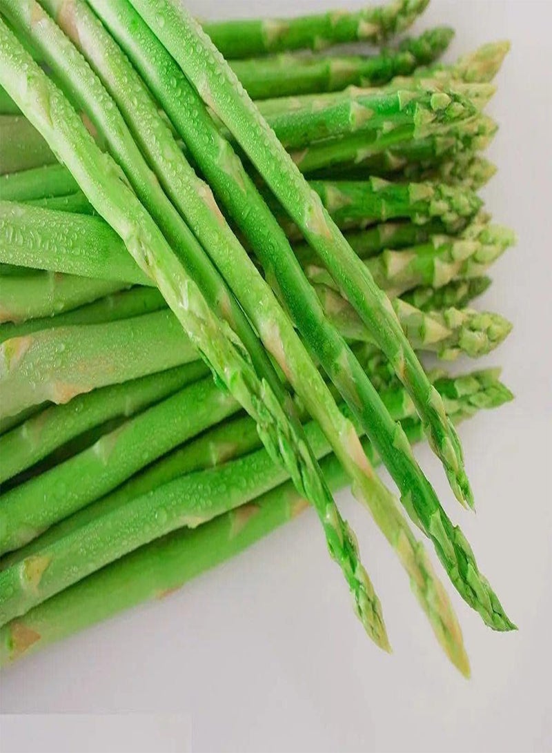 GGOOT Asparagus Seeds Vegetable Seeds for Planting UK Salad Seeds Kit for Garden-500 Pcs - Image 1