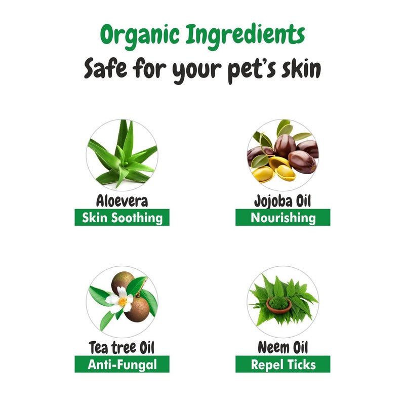 Harrods BSCLY Short Shine Shampoo - 2L - Image 3