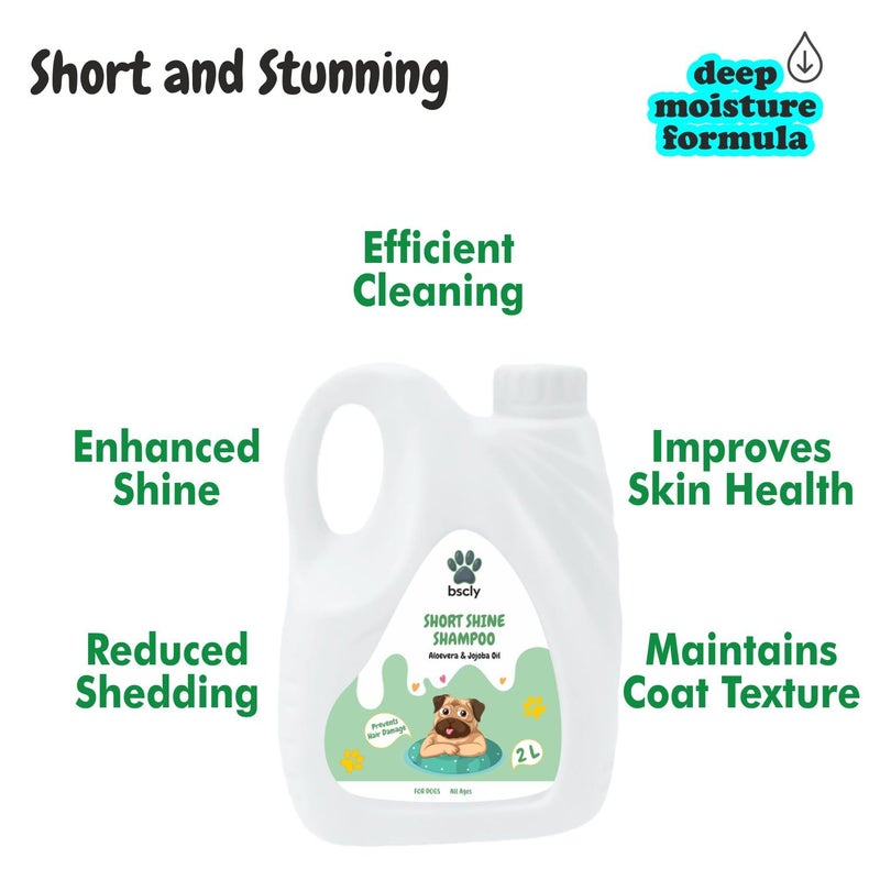 Harrods BSCLY Short Shine Shampoo - 2L - Image 4