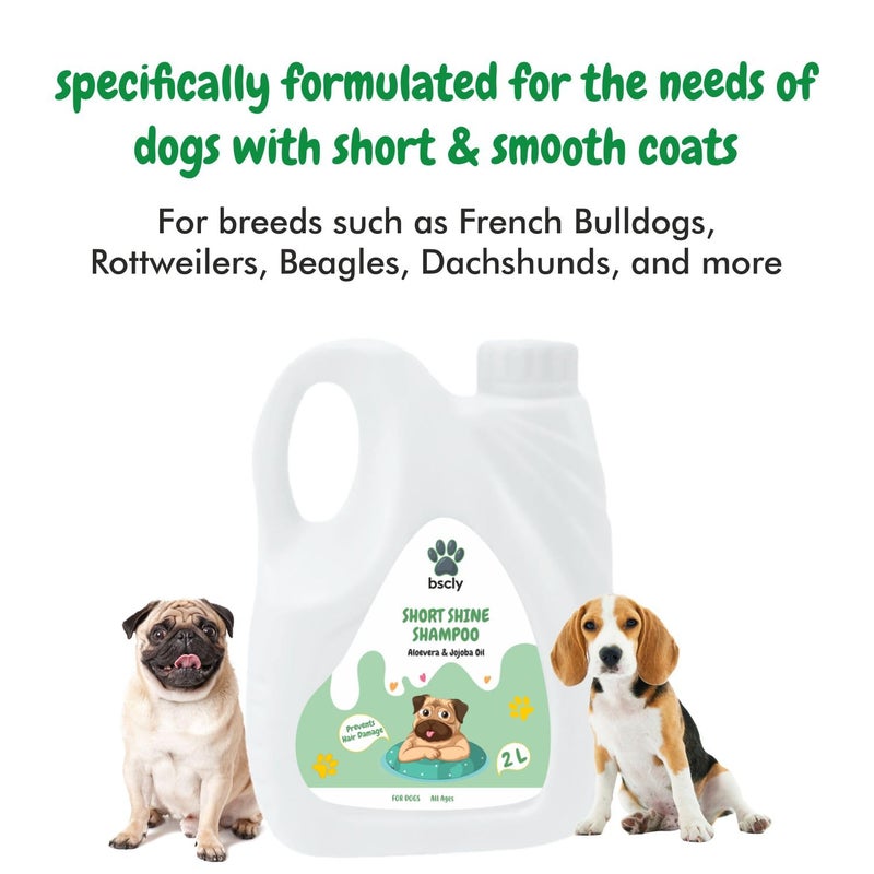 Harrods BSCLY Short Shine Shampoo - 2L - Image 2