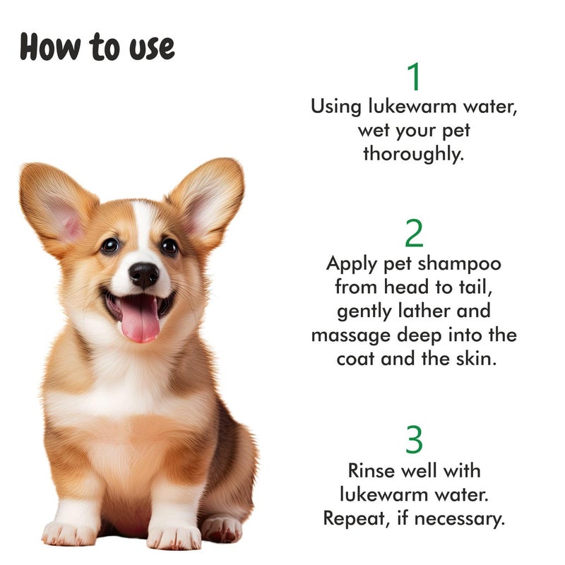 Harrods BSCLY Short Shine Shampoo - 2L - Image 5