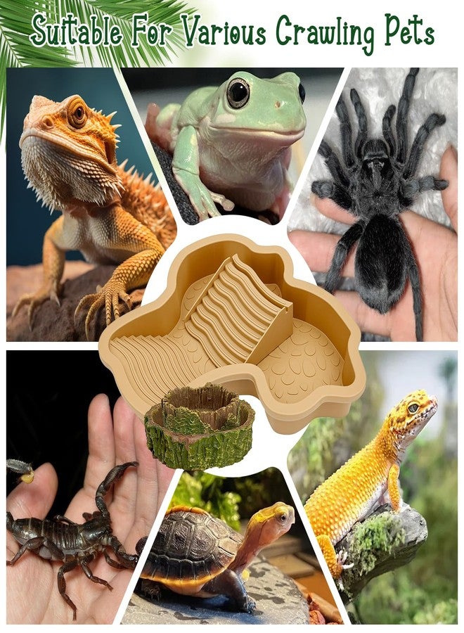 FALESHOS 3PCS Tortoise Habitat Accessories, Creature Bathing Pool with Ramp & Basking Area, 2PCS Simulation Tree Stump Feeding Dish for Turtle Gecko Frog Semi-Aquatic Species - Image 5