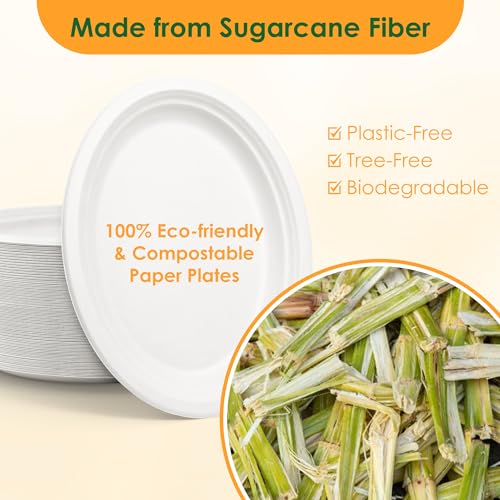 FEHHTO 100% Compostable Oval Paper Plates, 12.5Inch 50Pack Disposable Heavy Duty Bagasse Platters Eco-Friendly Biodegradable Sugarcane Plates for BBQ, Party, Picnic - Off White - Image 3