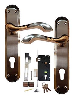 SUN SHINE SUNSHINE MORTICE HANDLE MORTICE LOCK OOR LOCK SUNSHINE BRASS 112 Mortice Handle Set with CY LOCK TH 3 EY FINISH SILVER GOLD 10 INCH  - Image 2