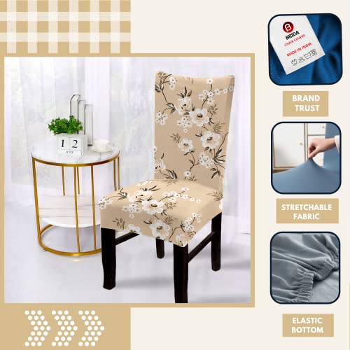 BRIDA Polyester Blend Stretchable Floral Printed Dining Chair Covers (Set of 4, Beige, Standard) - Image 2