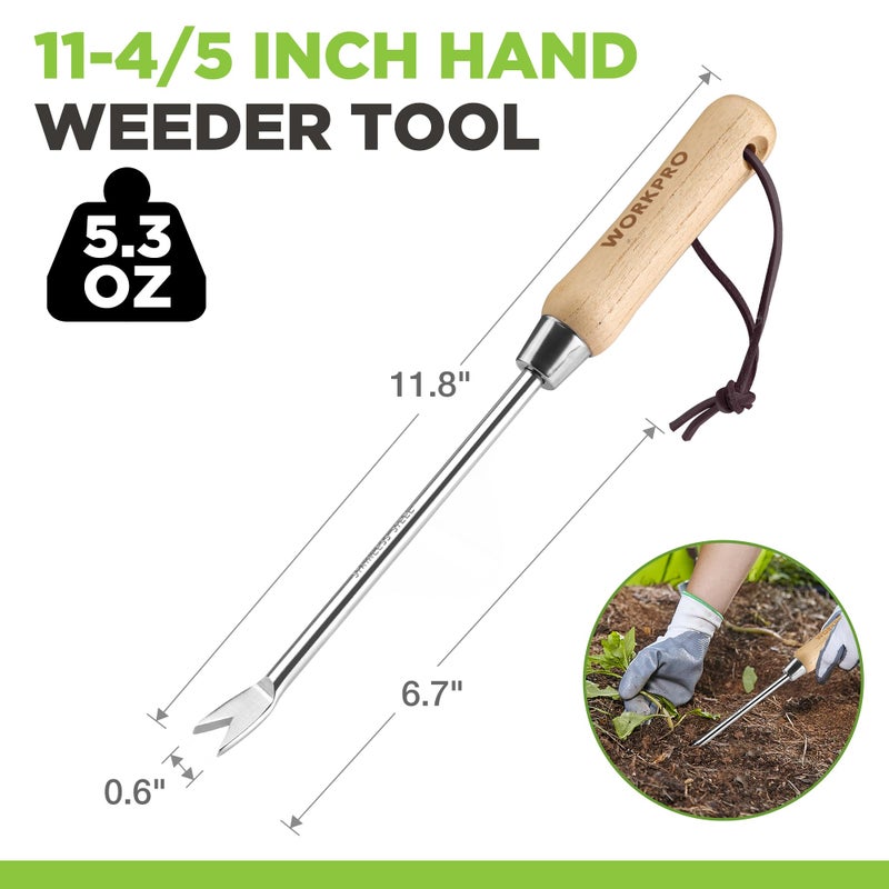 WORKPRO Dandelion Weeder Puller Tool with Wood Handle, Polished Stainless Steel Garden Weed Remover Tool, Two-Pronged Fork Weeder Tool for Lawn Farmland Transplant Gardening Plant Tool - Image 2
