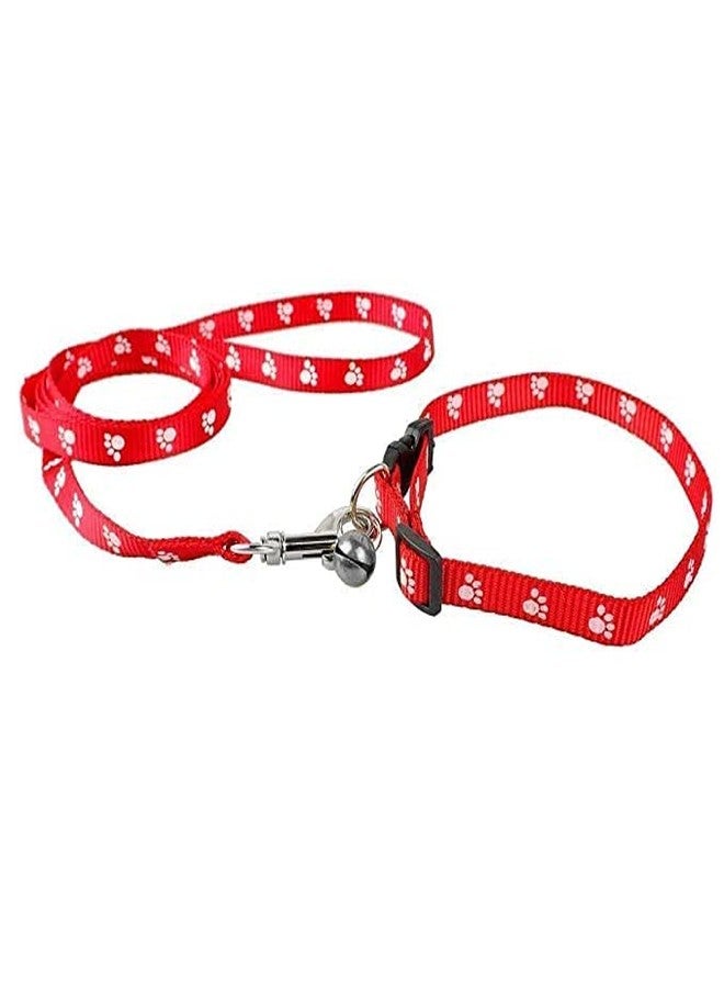 Pups&Pets 10MM Adjustable Nylon Paw Print Design Cute Collar and Leash Set with Bell for Dogs & Cat - (Red) - Image 4
