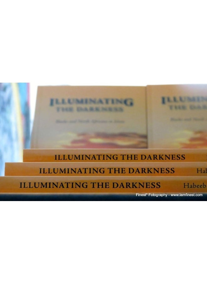null - Illuminating the Darkness: Blacks and North Africans in Islam - Image 1