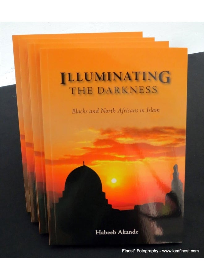 null - Illuminating the Darkness: Blacks and North Africans in Islam - Image 1