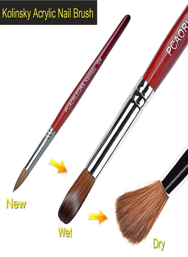 PCUORLEORS Acrylic Nail Brush with Pure Kolinsky Sable Hair and Red Wood Hand, Round/Flat Professional Gel Brush for Acrylic Power and Nail Extension Size #8,10,12 (2Pack(#8)) - Image 5