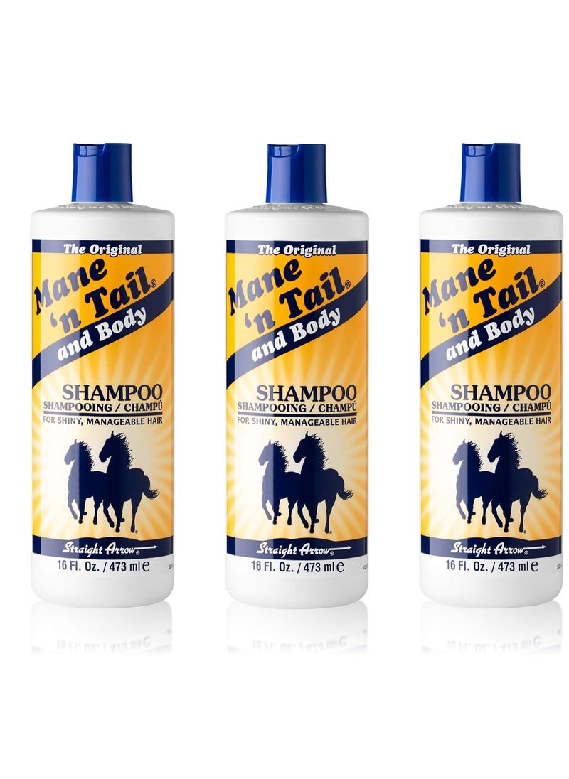 Mane 'n Tail Original Formula For Thicker Fuller Stronger Hair 16 oz (3 pack Shampoo) - pzsku/ZC86037B835BDC91A253BZ/45/_/1737950865/6c77afb6-da6d-48b0-a1c7-d42540787396