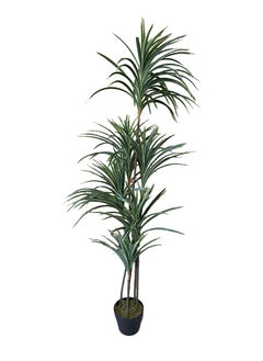 Garden Oasis Landscaping Tall Artificial Yucca Tree with Potted Design, Silk Leaves, Large Faux Branches and Modern Indoor Floor and Home Décor (160cm)  - Image 1
