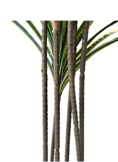 Garden Oasis Landscaping Tall Artificial Yucca Tree with Potted Design, Silk Leaves, Large Faux Branches and Modern Indoor Floor and Home Décor (160cm)  - Image 2