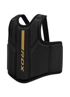 CHEST GUARD F6 MATTE - pzsku/ZC861E896BD61E7C9103DZ/45/_/1708941600/080415e8-1ef6-4c39-9560-bf54a4b16a09