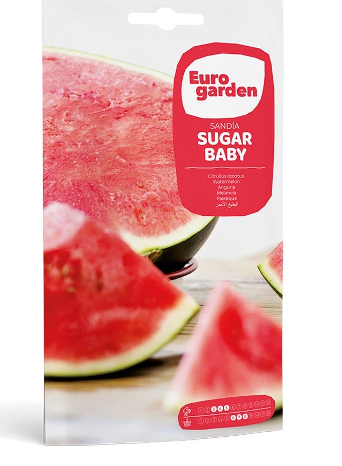 Euro Garden Euro Garden Watermelon Suger Baby seeds  - Image 1