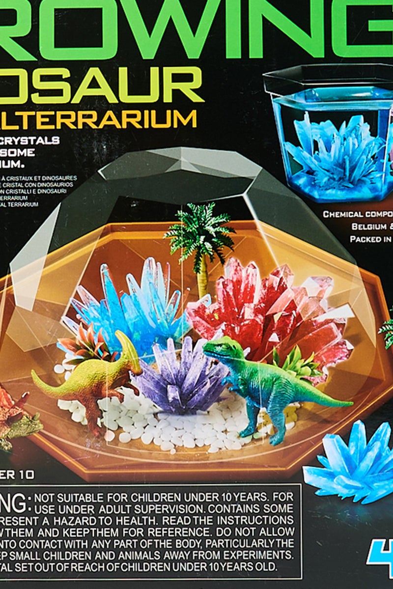4m Crystal Growing Dinosaur Terrarium Kit - Image 5