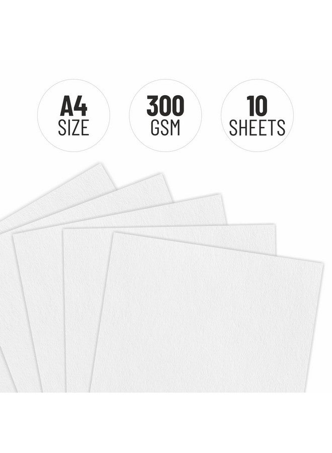 Anupam Professional Watercolour Paper | A4 (30X21CM) 300 GSM Cold Pressed Paper |Acid-Free 10 Sheets| Ideal for Artist, Professional Drawing, Painting Dry & Wet, Fine Art, School, Students - Image 3