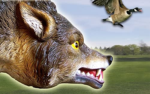 Bird-X 3D Coyote Decoy, Lifelike Predator Replica, Coyote Decoy with Moving Tail and Realistic Markings, Easy to Install, Covers up to 1 Acre of Land, 32"x8"x30" - Image 5