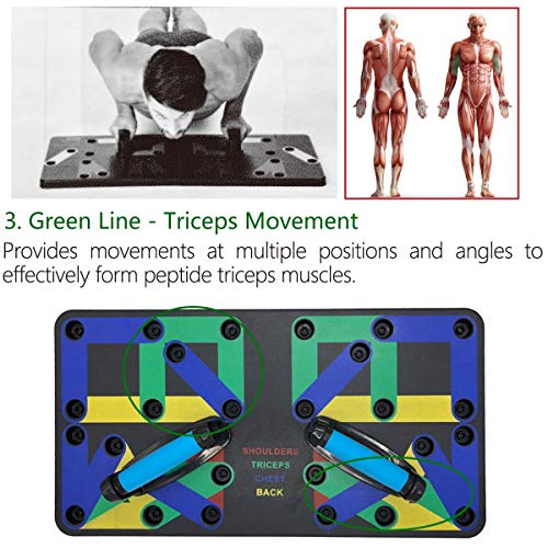 LAFILLETTE 17 in 1 Multifunction Push up Board System for Body Gym Bar (Black) - Image 4
