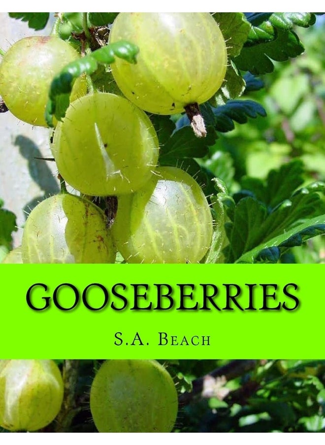 CREATESPACE Gooseberries - pzsku/ZC869A057B320F0B5E637Z/45/_/1737570953/4ebb63f9-7ecc-45ca-8bc8-1c7f9295d8c2