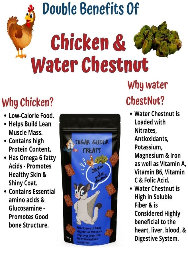 WiggleBoo Suger Glider Natural & Crunchy Treats Chicken & Water Chesnut, Rich in Protein & Fiber, provide a healthy snugge (75 grm) - Image 2