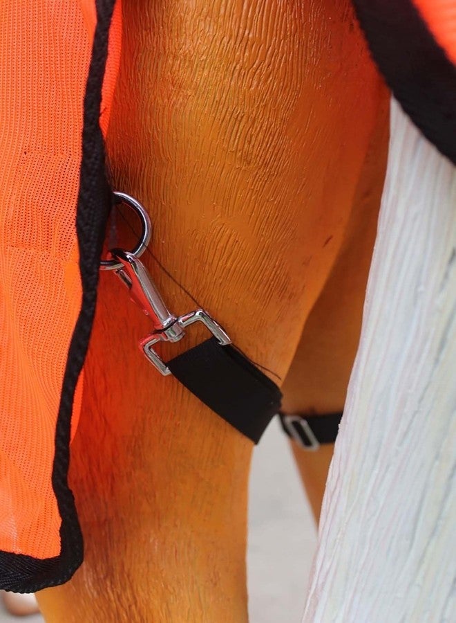 تشالنجر شرشف صيفي شبكي 40 بوصة للمهر الصغير (حمار، حصان، مهر) رقم 51816 - Image 5