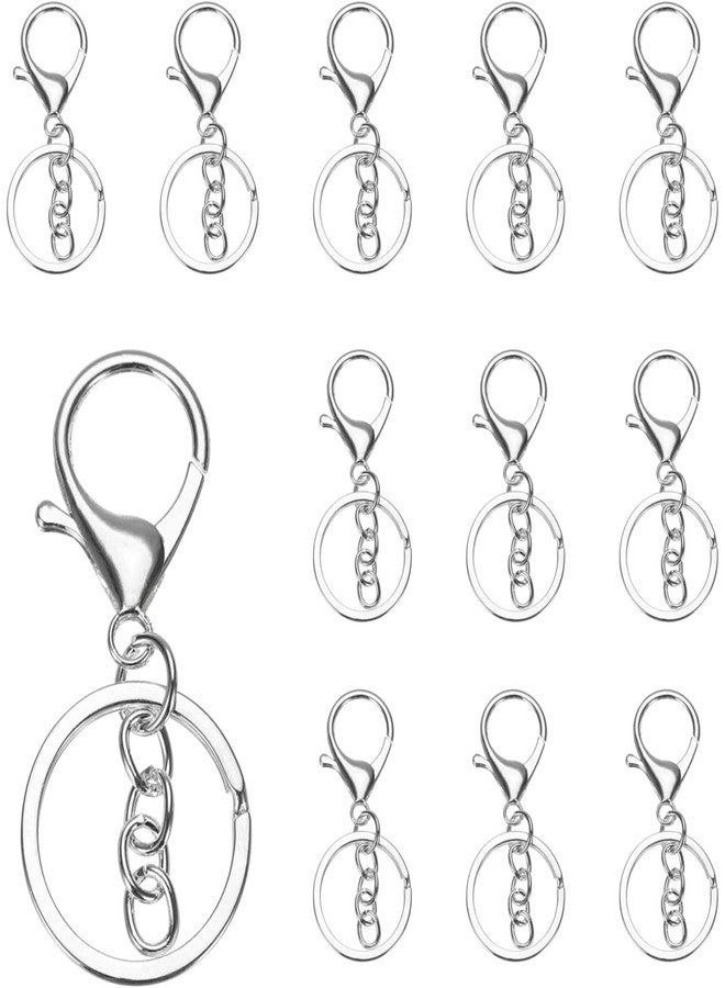 Tdas 10 Pcs Lobster Claw Clasps Keychain Swivel Snap Hook Key Rings for DIY Craft Jewellery Chain Making Kit Project (Silver) - Image 1
