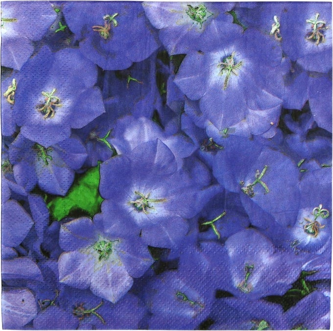 75COUNT DISPOSABLE DINNER PAPER PARTY NAPKINS VIOLETS