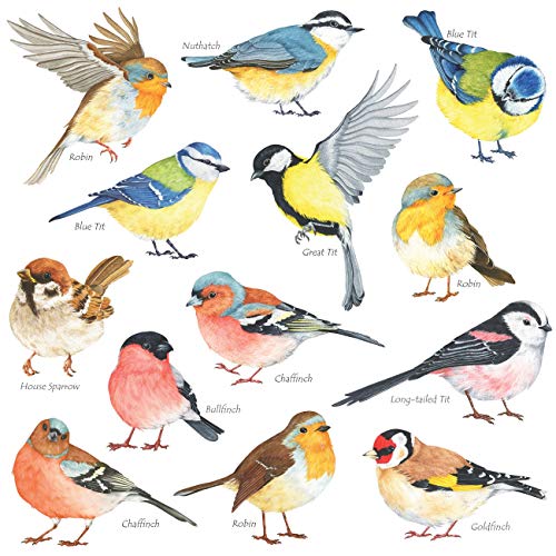 DECOWALL DS28038 Little Birds Kids Wall Stickers Wall Decals Peel and Stick Removable Wall Stickers for Kids Nursery Bedroom Living Room Small dcor - Image 1