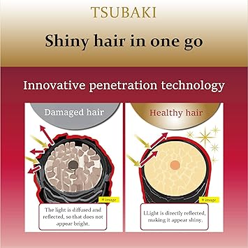 Premium Moist Repair Conditioner for Tsubaki 450 ml - Image 2