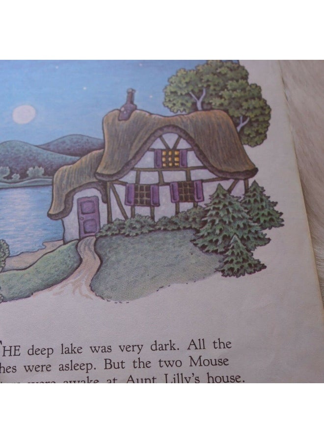 Good Night, Aunt Lilly (Little Golden Book)