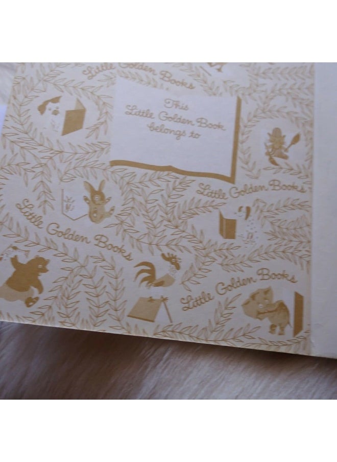 Good Night, Aunt Lilly (Little Golden Book)