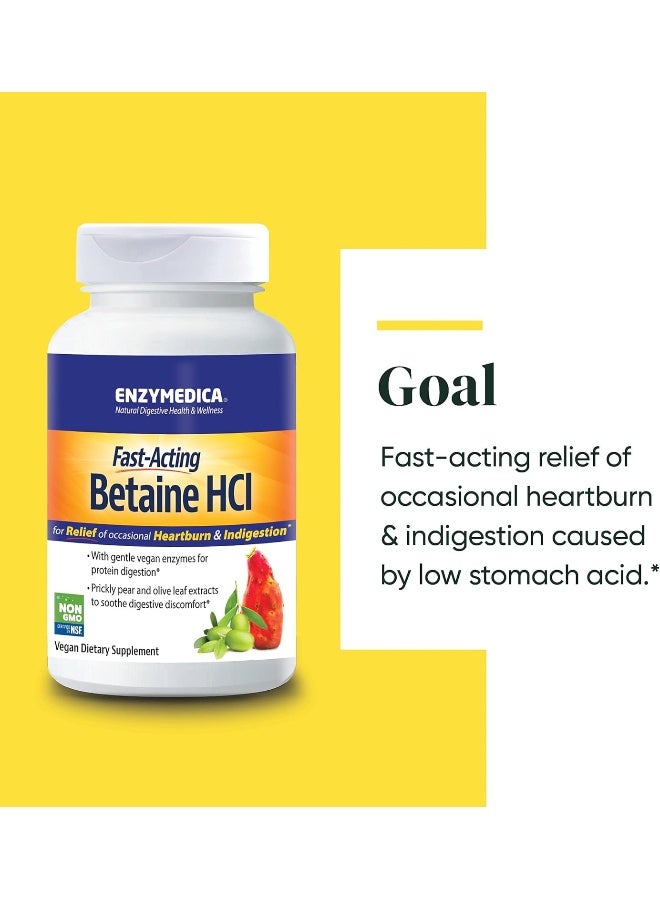 Enzymedica Fast-Acting Betaine HCl Heartburn & Indigestion Relief Formula - Image 3