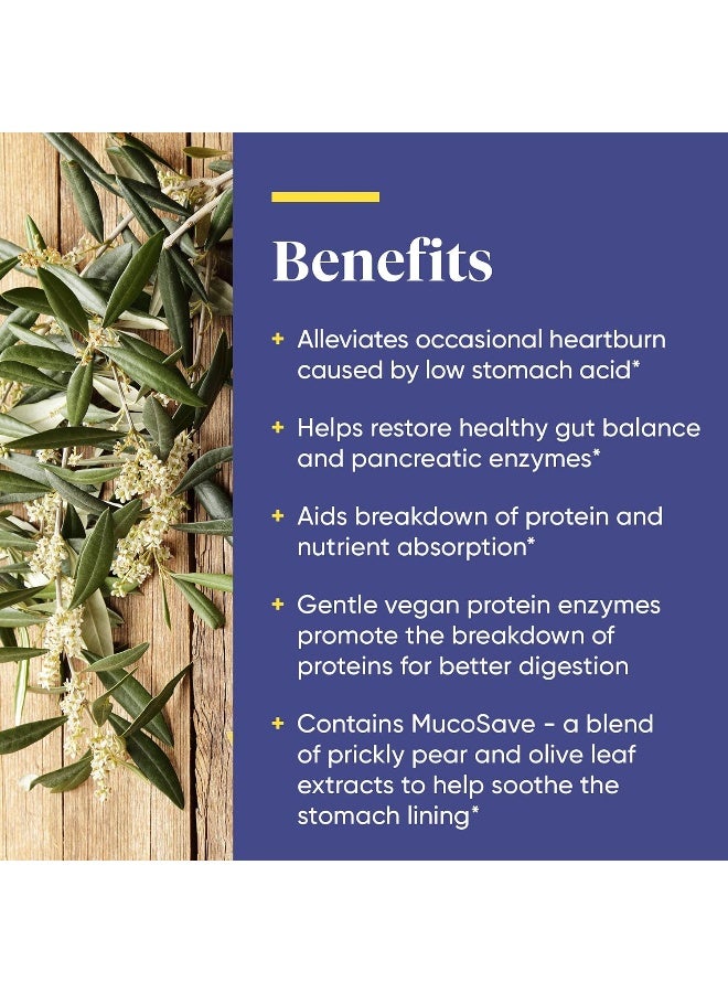 Enzymedica Fast-Acting Betaine HCl Heartburn & Indigestion Relief Formula - Image 4