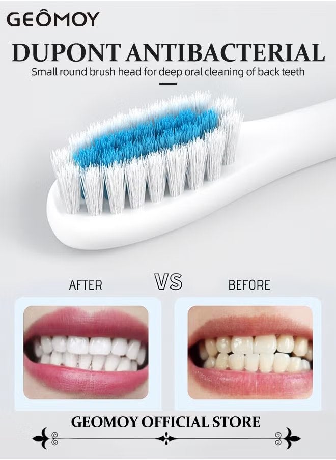 جيموي فرشاة أسنان كهربائية سونيك فرشاة أسنان بالموجات فوق الصوتية قابلة لإعادة الشحن USB مع 4 رؤوس فرشاة 6 أوضاع تنظيف ومؤقت ذكي IPX7 فرشاة أسنان مقاومة للماء للبالغين والأطفال - Image 3