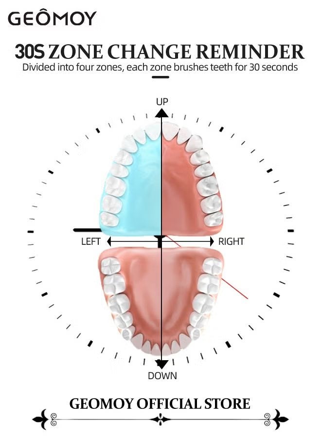 جيموي فرشاة أسنان كهربائية سونيك فرشاة أسنان بالموجات فوق الصوتية قابلة لإعادة الشحن USB مع 4 رؤوس فرشاة 6 أوضاع تنظيف ومؤقت ذكي IPX7 فرشاة أسنان مقاومة للماء للبالغين والأطفال - Image 5