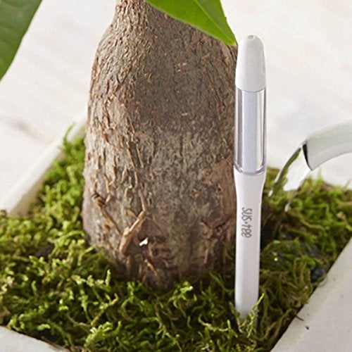 IPPINKA Sustee Aquameter, White, Medium, Set of 2 - Soil Moisture Meter for Potted Plants - Plant Water Sensor (Refillable Style) - Image 2