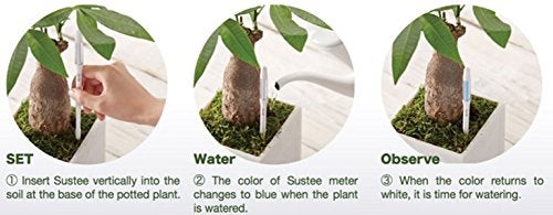 IPPINKA Sustee Aquameter, White, Medium, Set of 2 - Soil Moisture Meter for Potted Plants - Plant Water Sensor (Refillable Style) - Image 4