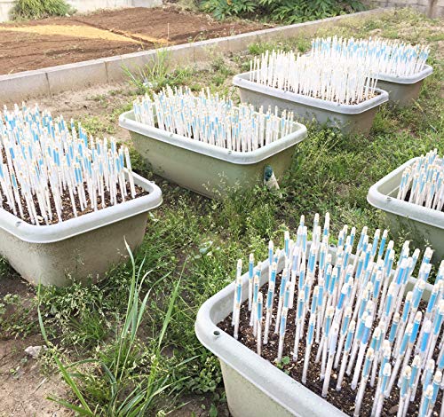 IPPINKA Sustee Aquameter, White, Medium, Set of 2 - Soil Moisture Meter for Potted Plants - Plant Water Sensor (Refillable Style) - Image 5