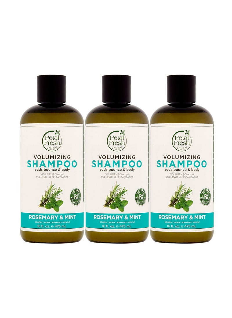 ROSEMARY & MINT SHAMPOO 475ml pack of 3 - pzsku/ZC8753AB3E2234D608DC9Z/45/_/1679597676/3d4c2e1c-97eb-49db-83b3-303b7a159891