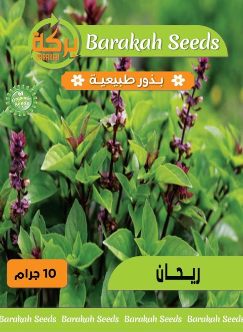 بذور طبيعية عالية الإنبات - (ريحان)