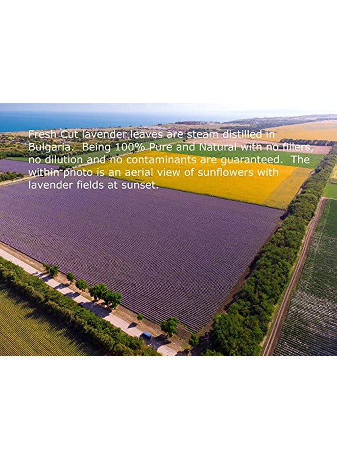 Essentially KateS Lavender Oil 4 Fl Oz 100% Pure And Natural Therapeutic Grade With Glass Dropper And Rollon Bottle - Image 5