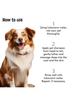 Harrods Bscly Long Locks Dog Shampoo with Green Tea & Aloevera | Dog Shampoo for Pomeranian, Shih tzu Puppy, German Shepherd, Labrador & Golden Retriever, Dogs Shampoo | 500ml  - Image 4